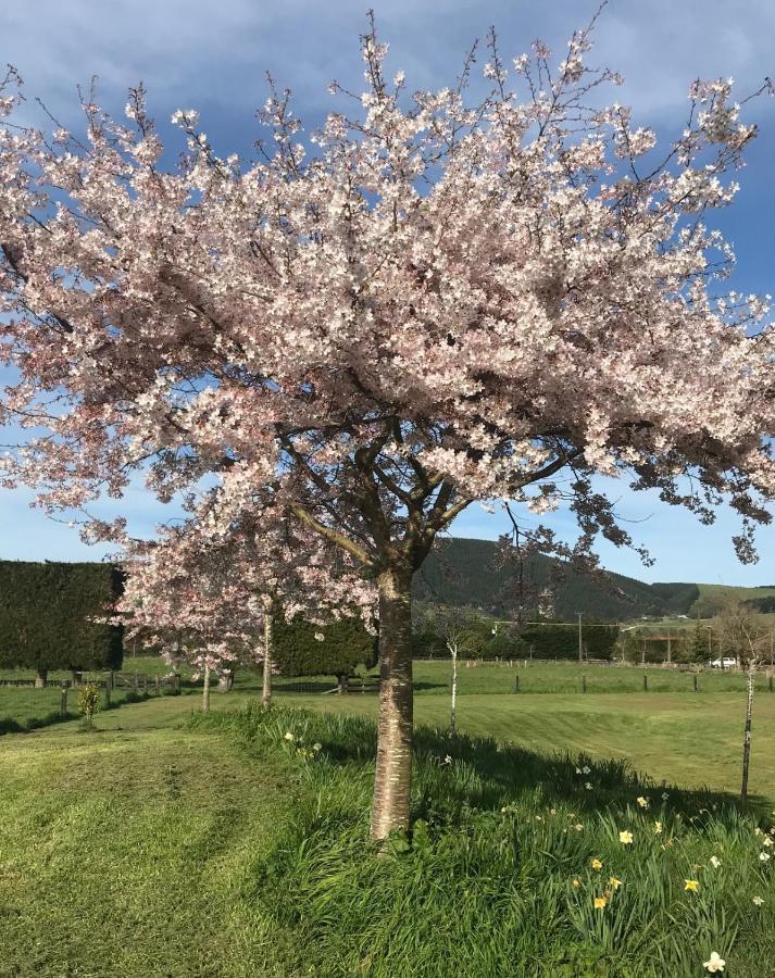 Tai Tapu Lodge エクステリア 写真